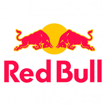 Boisson Energisante Red Bull Canette Slim de 25cl x24