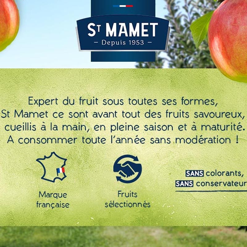 Spécialité de fruits pomme / pêche sans sucres ajoutés St Mamet PRO