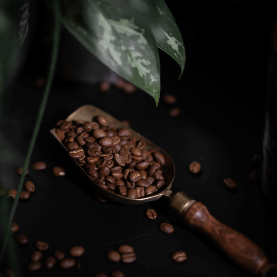 Café en Grains illy Espresso Sélection Inde - 6 boîtes - 1,5 Kg