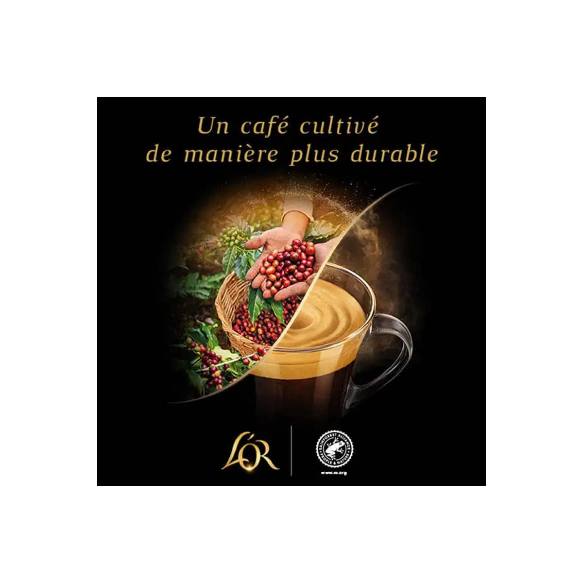 Promo Capsules de café xxl l'or barista chez Carrefour