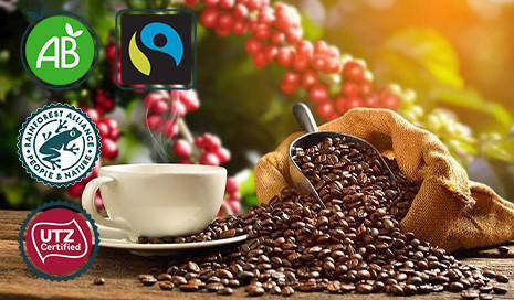 Café en grain bio et équitable : achat en ligne - Coffee Webstore