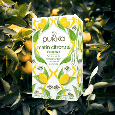 Coffret découverte de thés Pukka - 42 sachets : Pukka PUKKA alimentation bio  - botanic®