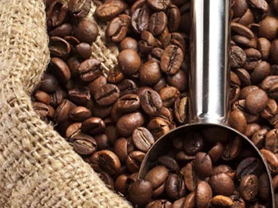 Café en Grain décaféiné : achat en ligne - Coffee Webstore