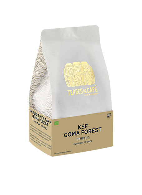 terres de café goma forest